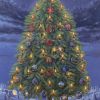 Passion Tree by Jack E. Dawson