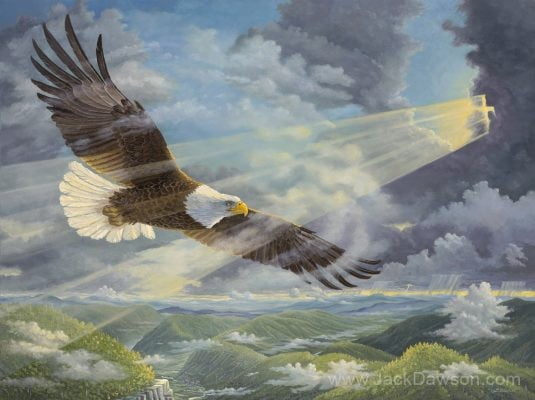 Wait and See by Jack E. Dawson: an eagle soaring through sunbeams above a green valley.