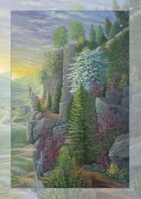 Shadows of Spring 5x7 Card Inside