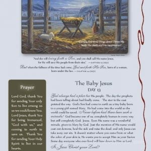The Passion Tree Daily Advent Calendar by Jack E. Dawson