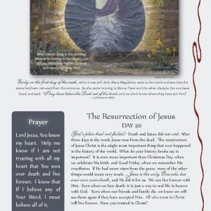 The Passion Tree Daily Advent Calendar by Jack E. Dawson
