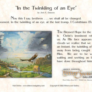 Alternative view of In the Twinkling - Note Cards